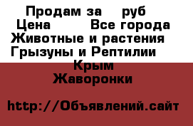 Продам за 50 руб. › Цена ­ 50 - Все города Животные и растения » Грызуны и Рептилии   . Крым,Жаворонки